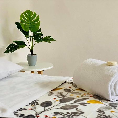 Bed and Breakfast Casa Del Centro Morelia Zewnętrze zdjęcie