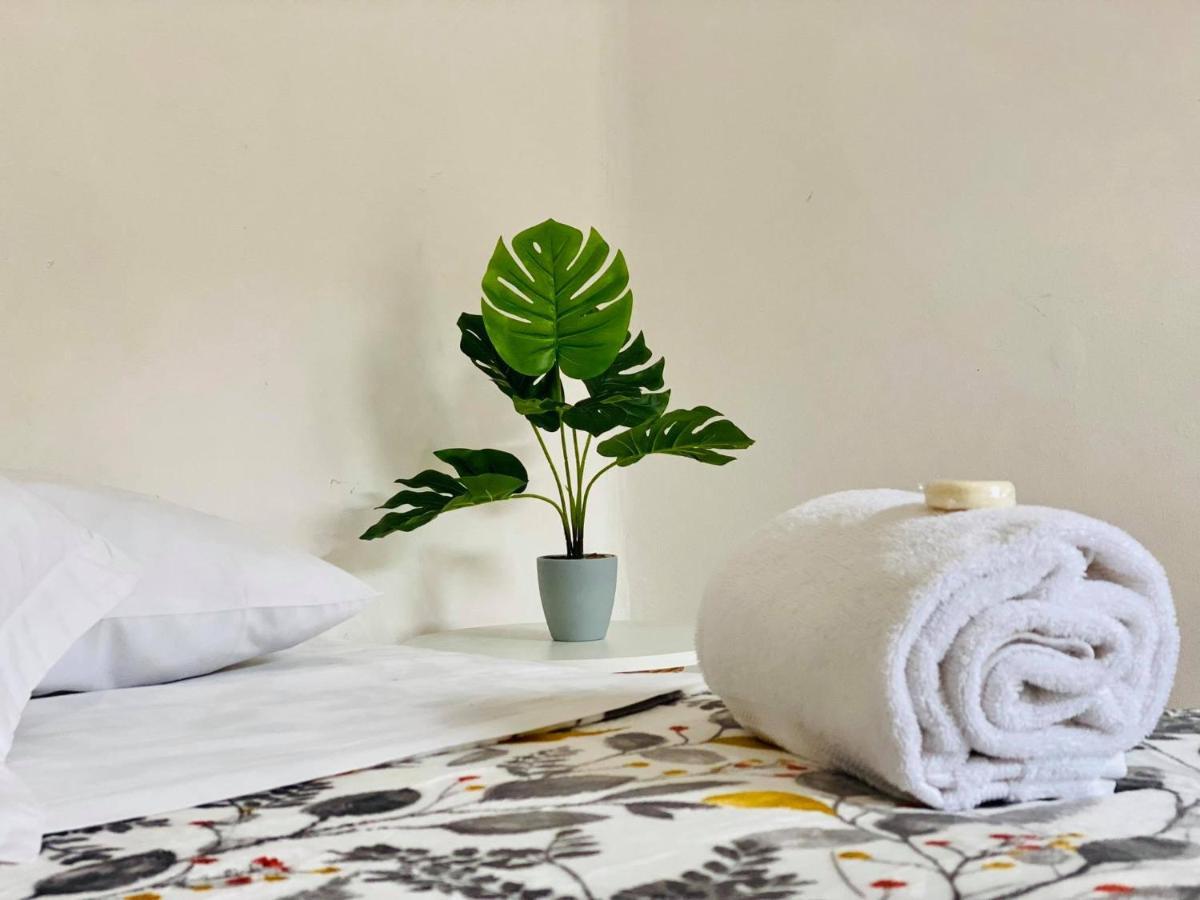 Bed and Breakfast Casa Del Centro Morelia Zewnętrze zdjęcie